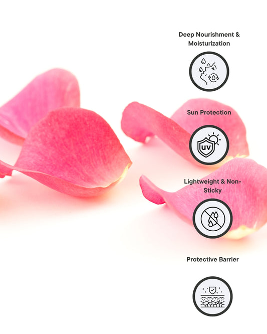 Lip Shield Rose
